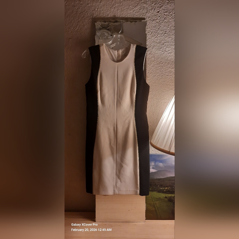Rag & Bone Black and Cream Art Deco Dress